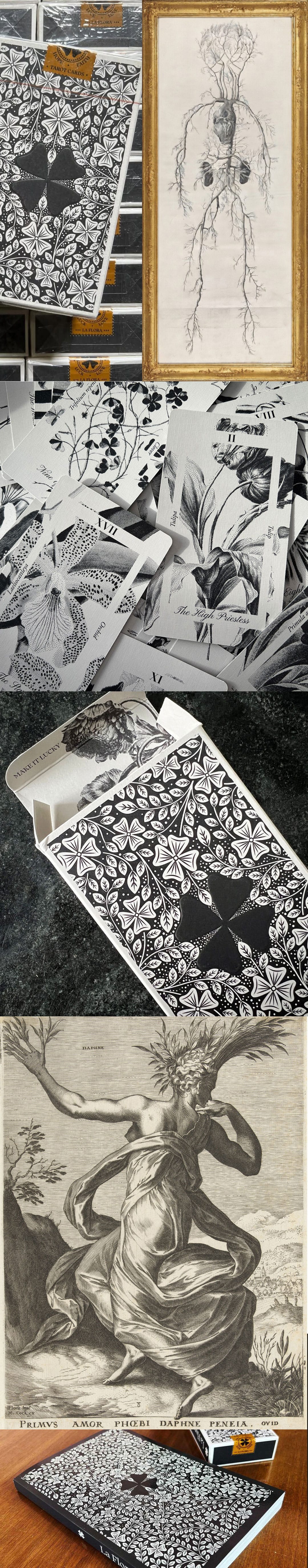 A botanical tarot deck built at the meeting of root and symbol. Now sold out.